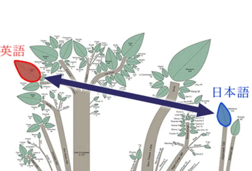 英語と日本語
